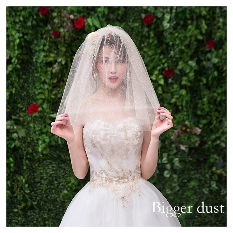 SGT002 Cheap Shining Sparkly Glitter Tulle Mesh Fabric Wedding Veils Tulle Fabric (Big Stardust) - 图片 5