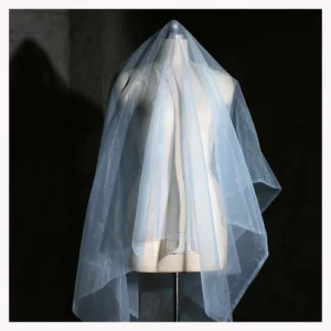 Plain Dyed 100%Polyester Sheer Pure Silk Organza Fabric for Bridal Wedding Dress - 100% Polyester, 30 gsm, 155 CM, Fabric...